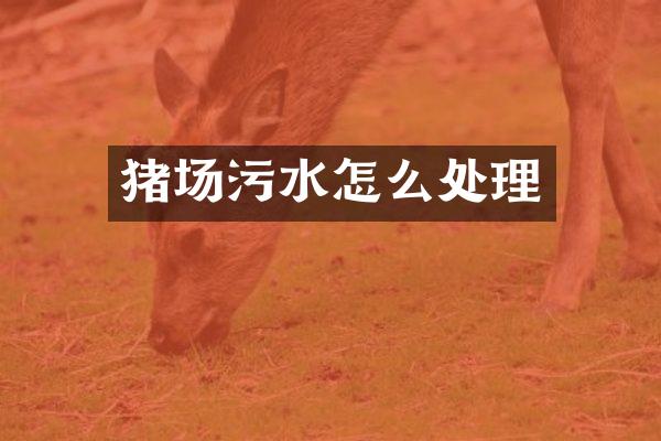 猪场污水怎么处理