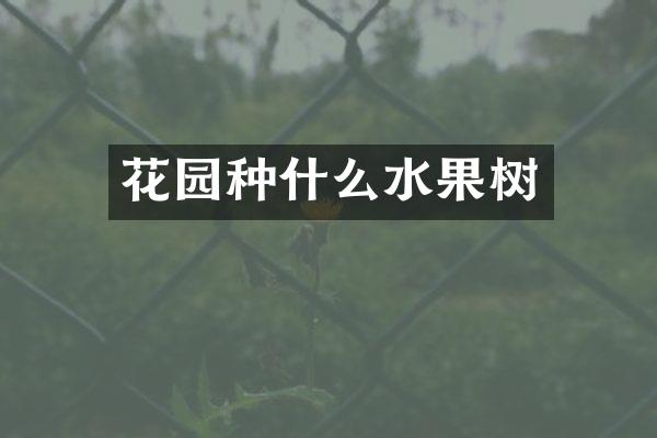 花园种什么水果树