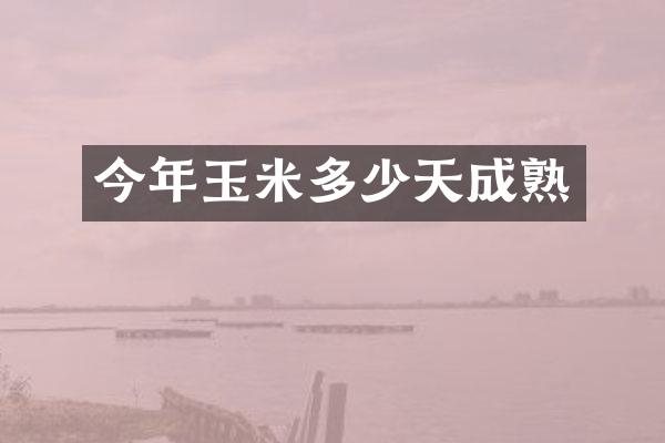 今年玉米多少天成熟
