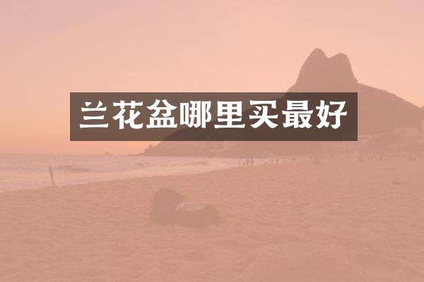 兰花盆哪里买最好