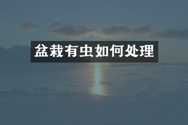 盆栽有虫如何处理