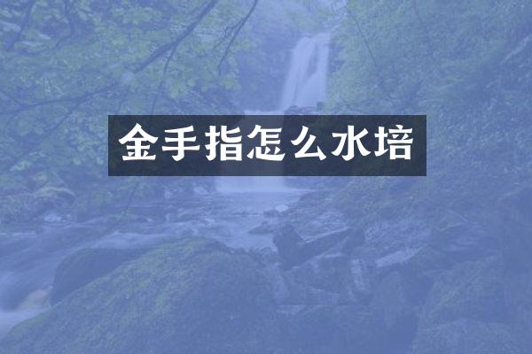 金手指怎么水培