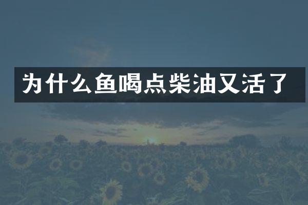 为什么鱼喝点柴油又活了