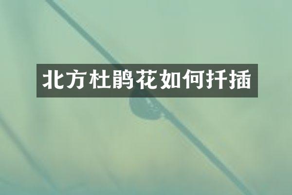 北方杜鹃花如何扦插