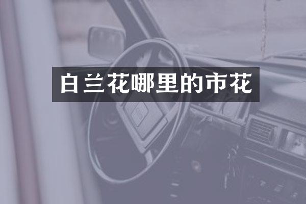白兰花哪里的市花