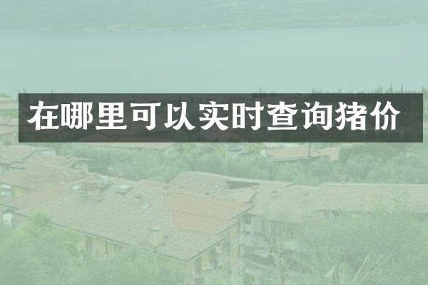 在哪里可以实时查询猪价