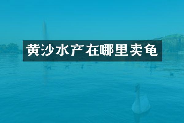 黄沙水产在哪里卖龟