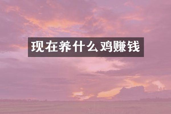 现在养什么鸡赚钱