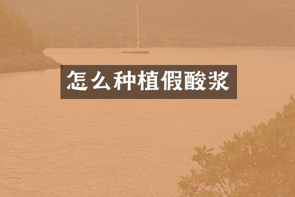 怎么种植假酸浆