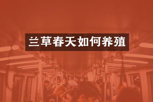 兰草春天如何养殖