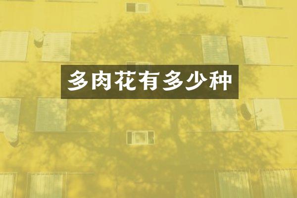 多肉花有多少种