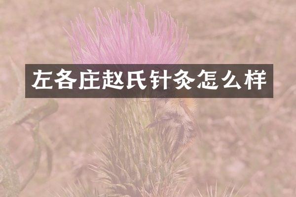左各庄赵氏针灸怎么样