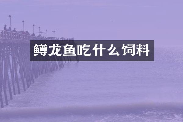 鳟龙鱼吃什么饲料
