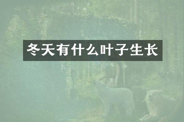 冬天有什么叶子生长