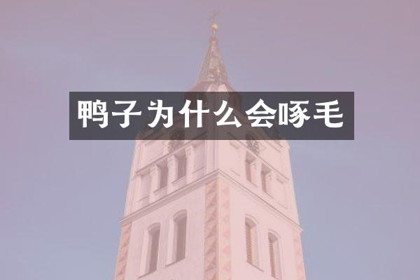 鸭子为什么会啄毛