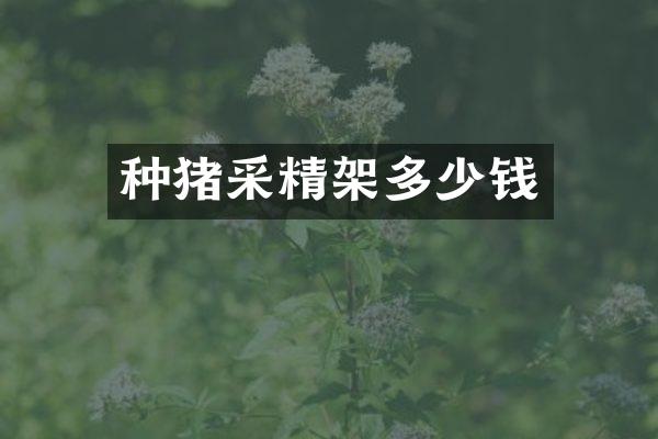 种猪采精架多少钱