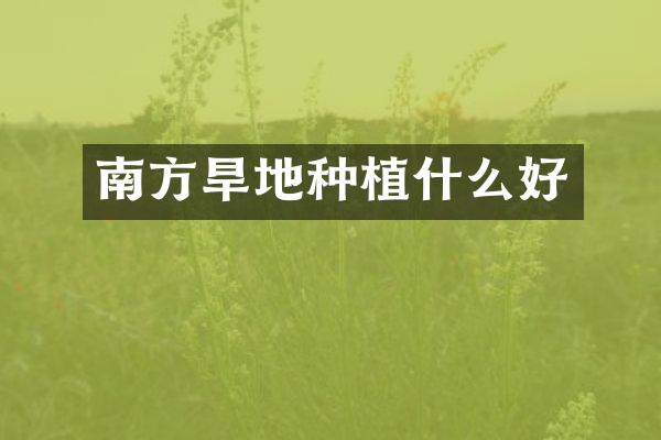 南方旱地种植什么好