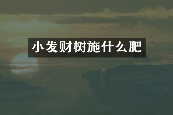小发财树施什么肥