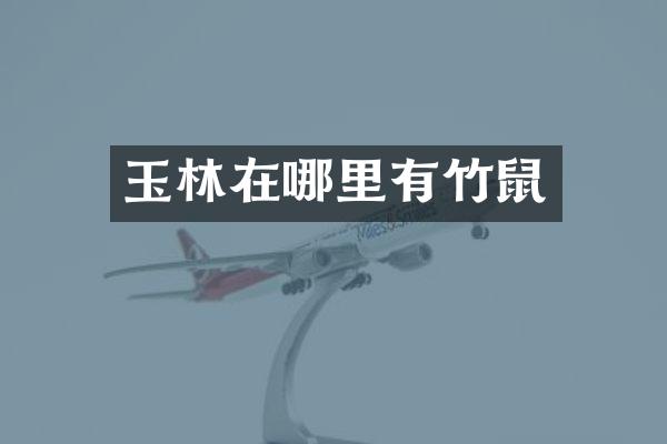 玉林在哪里有竹鼠
