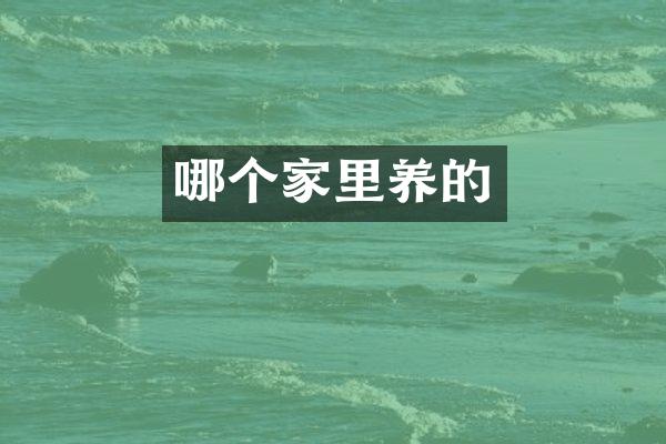 哪个家里养的