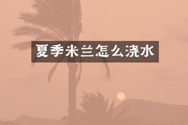 夏季米兰怎么浇水