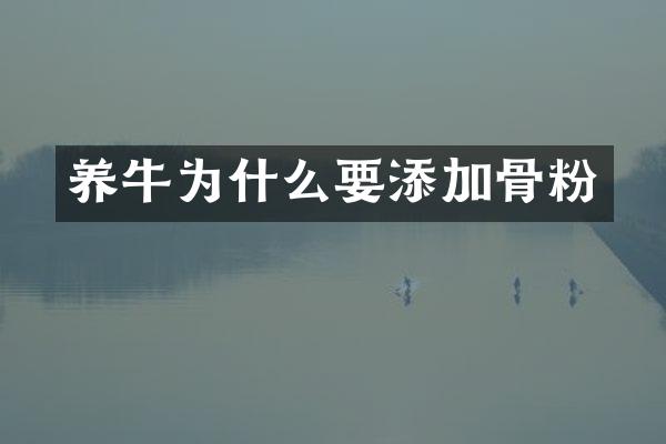 养牛为什么要添加骨粉