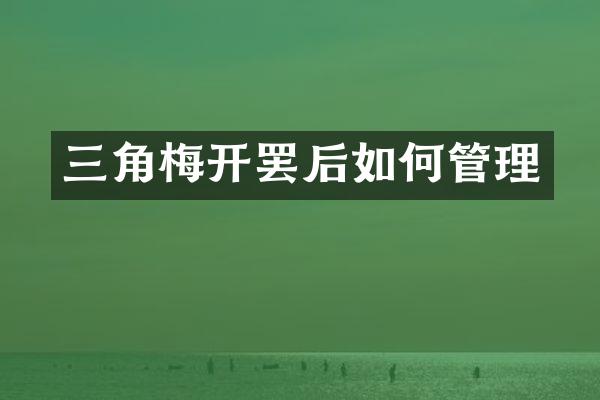 三角梅开罢后如何管理