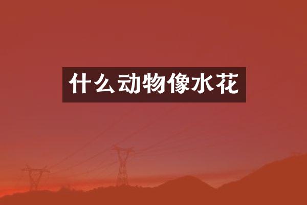 什么动物像水花