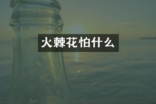 火棘花怕什么