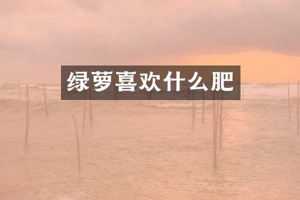 绿萝喜欢什么肥