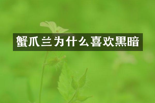蟹爪兰为什么喜欢黑暗