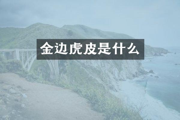 金边虎皮是什么