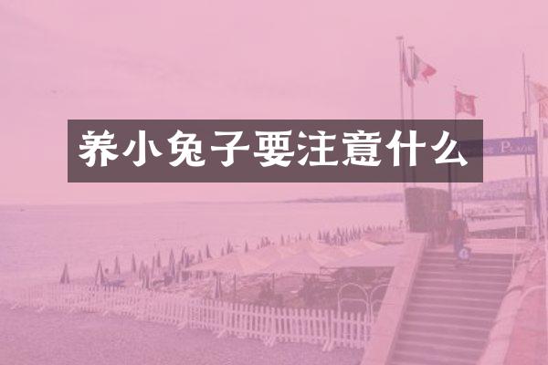 养小兔子要注意什么