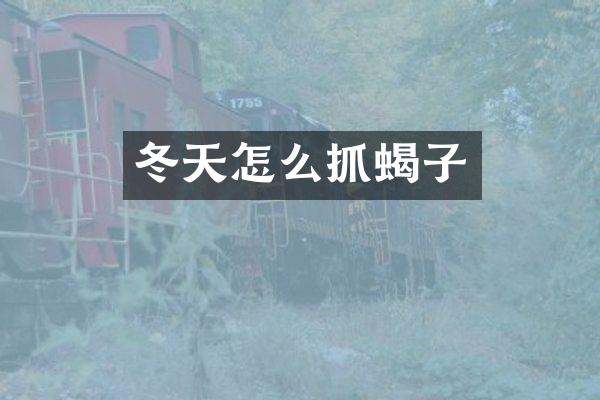 冬天怎么抓蝎子