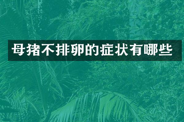 母猪不排卵的症状有哪些