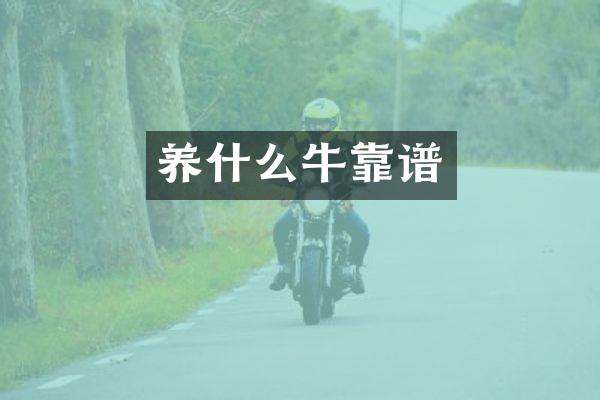养什么牛靠谱