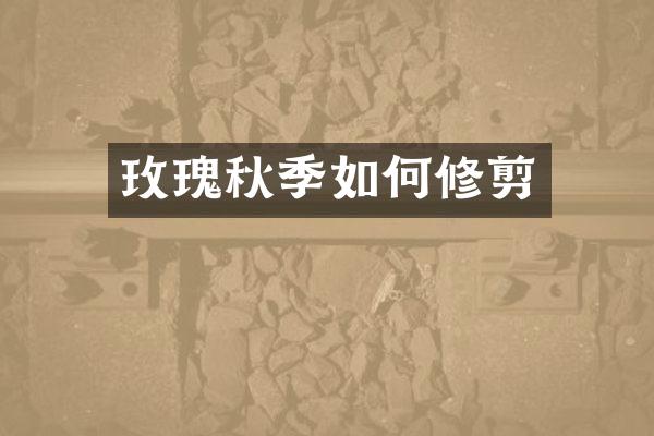 玫瑰秋季如何修剪