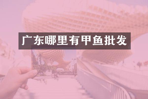 广东哪里有甲鱼批发