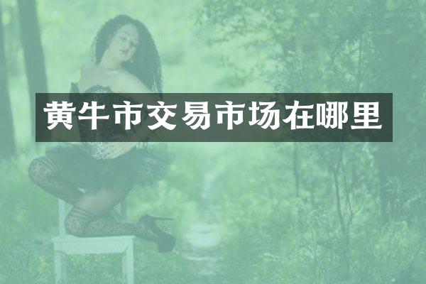 黄牛市交易市场在哪里
