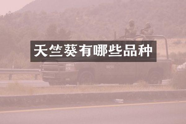 天竺葵有哪些品种