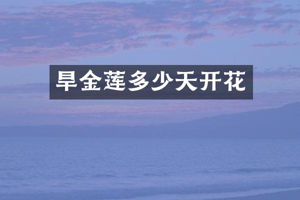旱金莲多少天开花