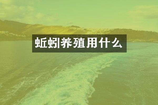蚯蚓养殖用什么