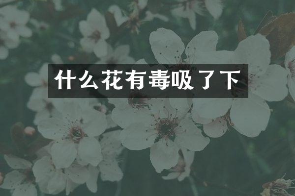什么花有毒吸了下