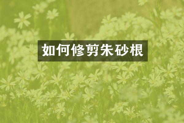 如何修剪朱砂根