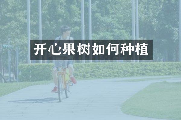 开心果树如何种植