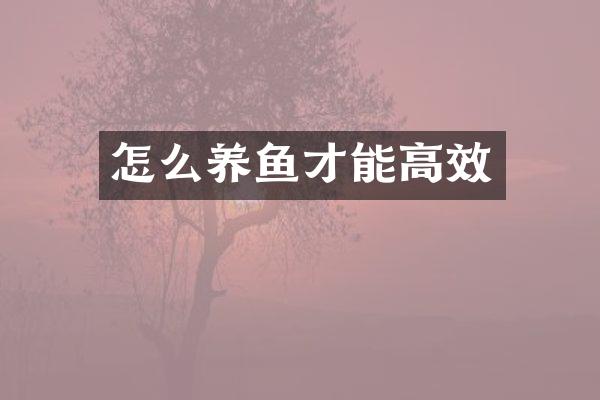怎么养鱼才能高效