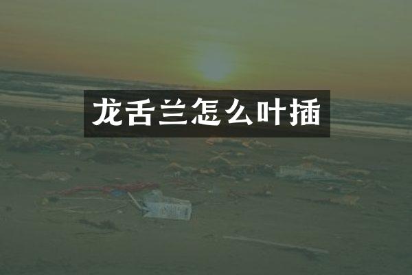 龙舌兰怎么叶插