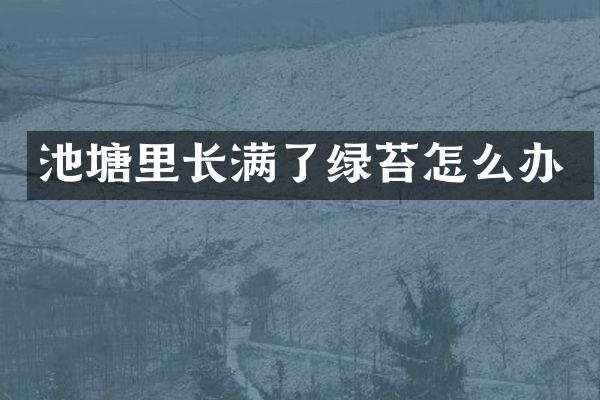 池塘里长满了绿苔怎么办