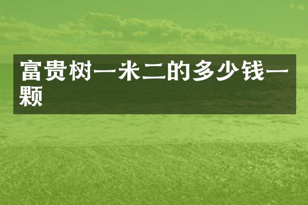富贵树一米二的多少钱一颗