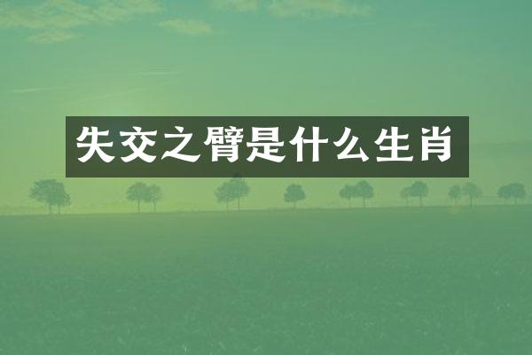 失交之臂是什么生肖